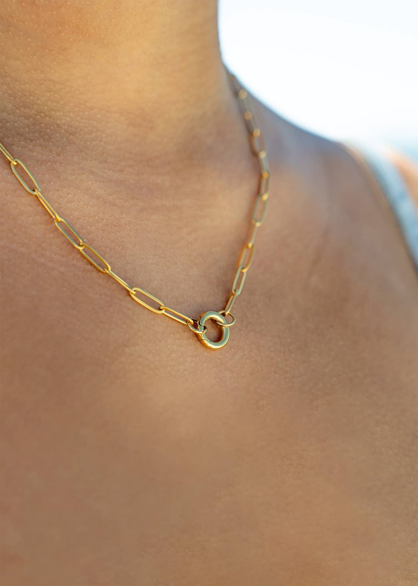 The Heirloom Carabiner Necklace — Paperclip Charm Holder