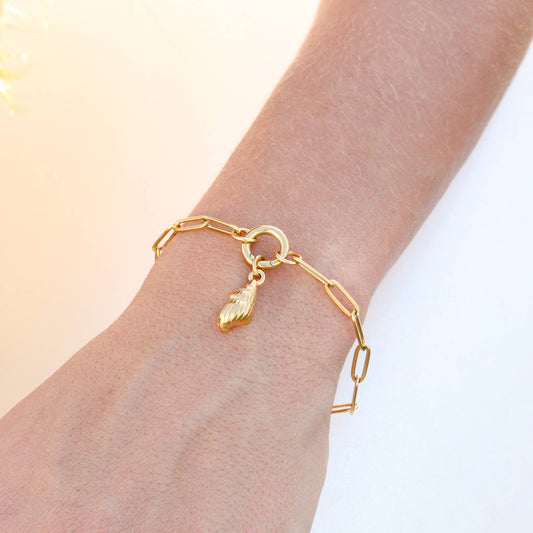 The Heirloom Carabiner Bracelet — Paperclip Charm Keeper