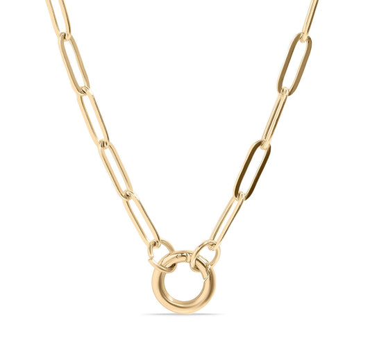 The Heirloom Carabiner Necklace — Paperclip Charm Holder
