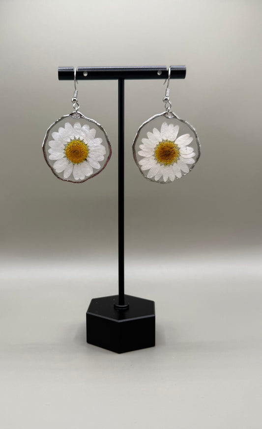 A Daisy, Always Earrings